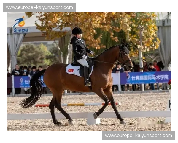 直播马术：把赛场激情和马背优雅搬到你屏幕前